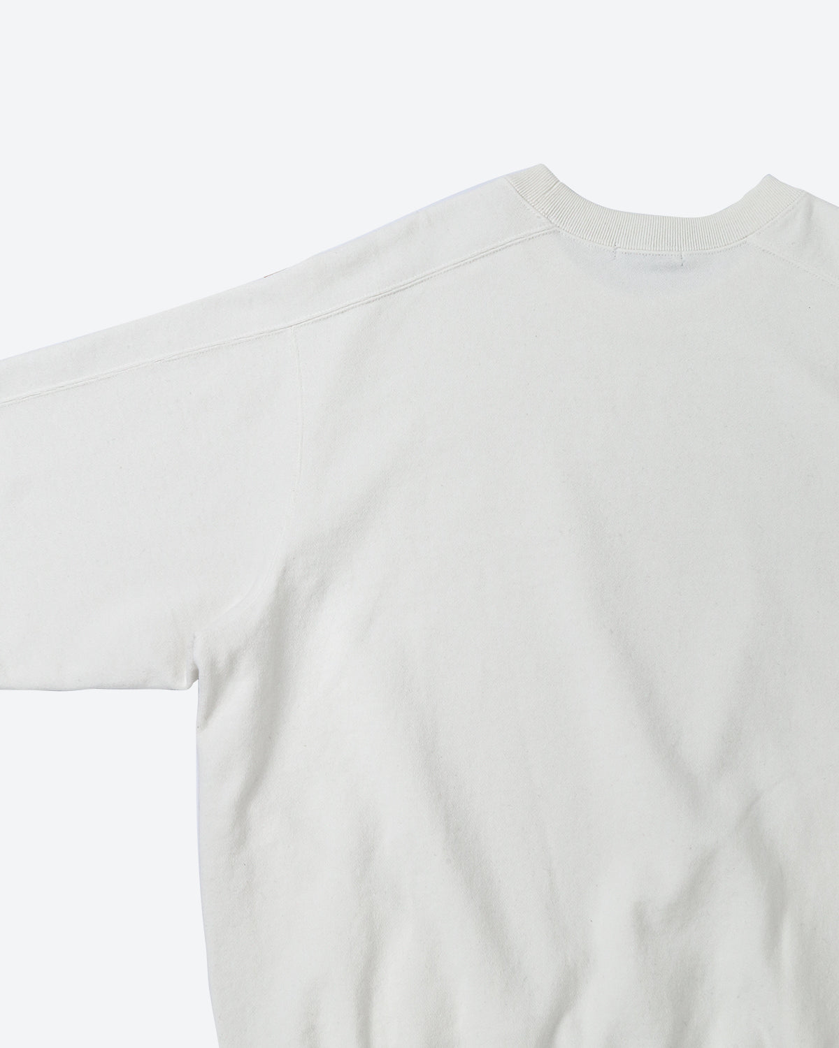 【UNISEX】USAコットン裏毛 セミラグランスリーブスウェット SL9S-T861
