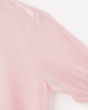 12G二重臼天竺 ラメシアー半袖クルーネック　SL10S-1123