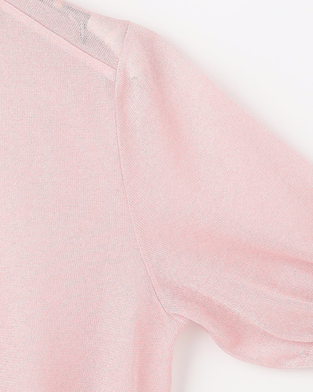 12G二重臼天竺 ラメシアー半袖クルーネック　SL10S-1123