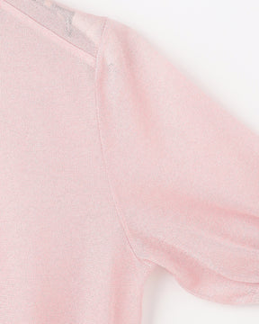 12G二重臼天竺 ラメシアー半袖クルーネック　SL10S-1123