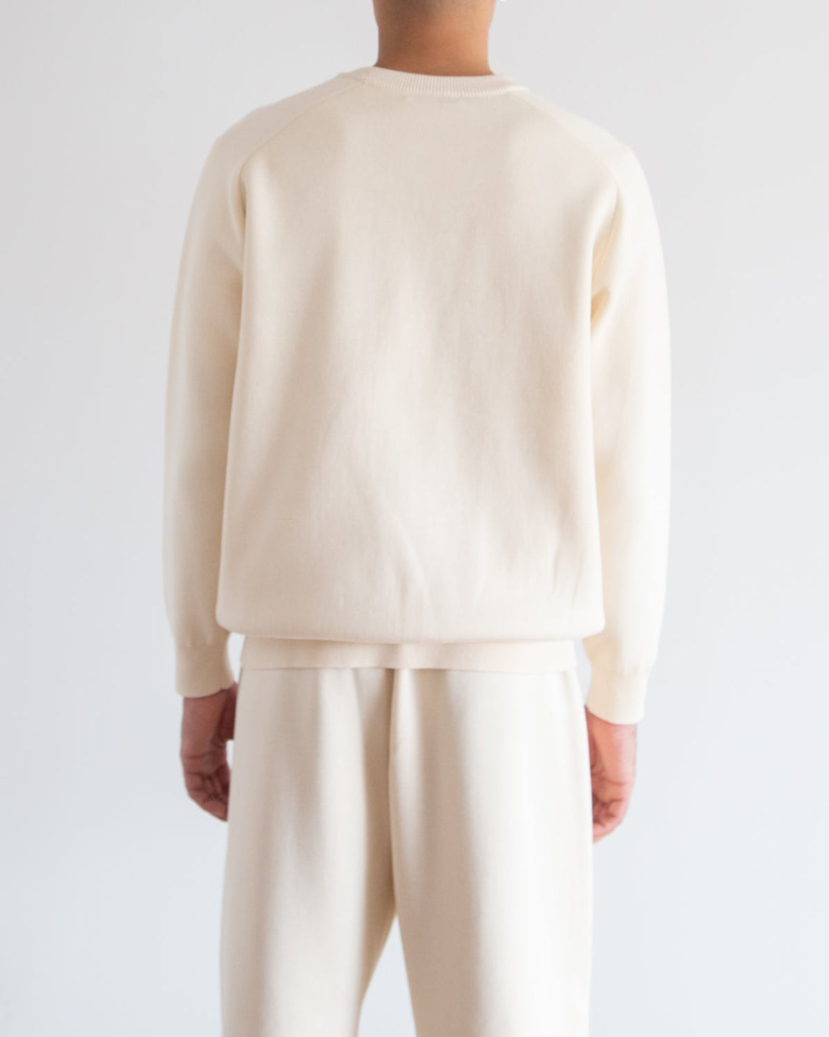 12G天竺 ダブルフェイス  セミラグランスリーブクルーネック　SL10S-1170