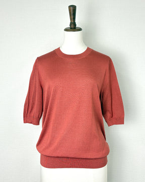 ブリック(見本となります)