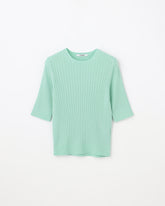 12Gワイドリブ コットン×ポリエステル 5分袖クルーネック　SL9S-805